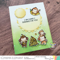 EVERYDAY MONKEYS